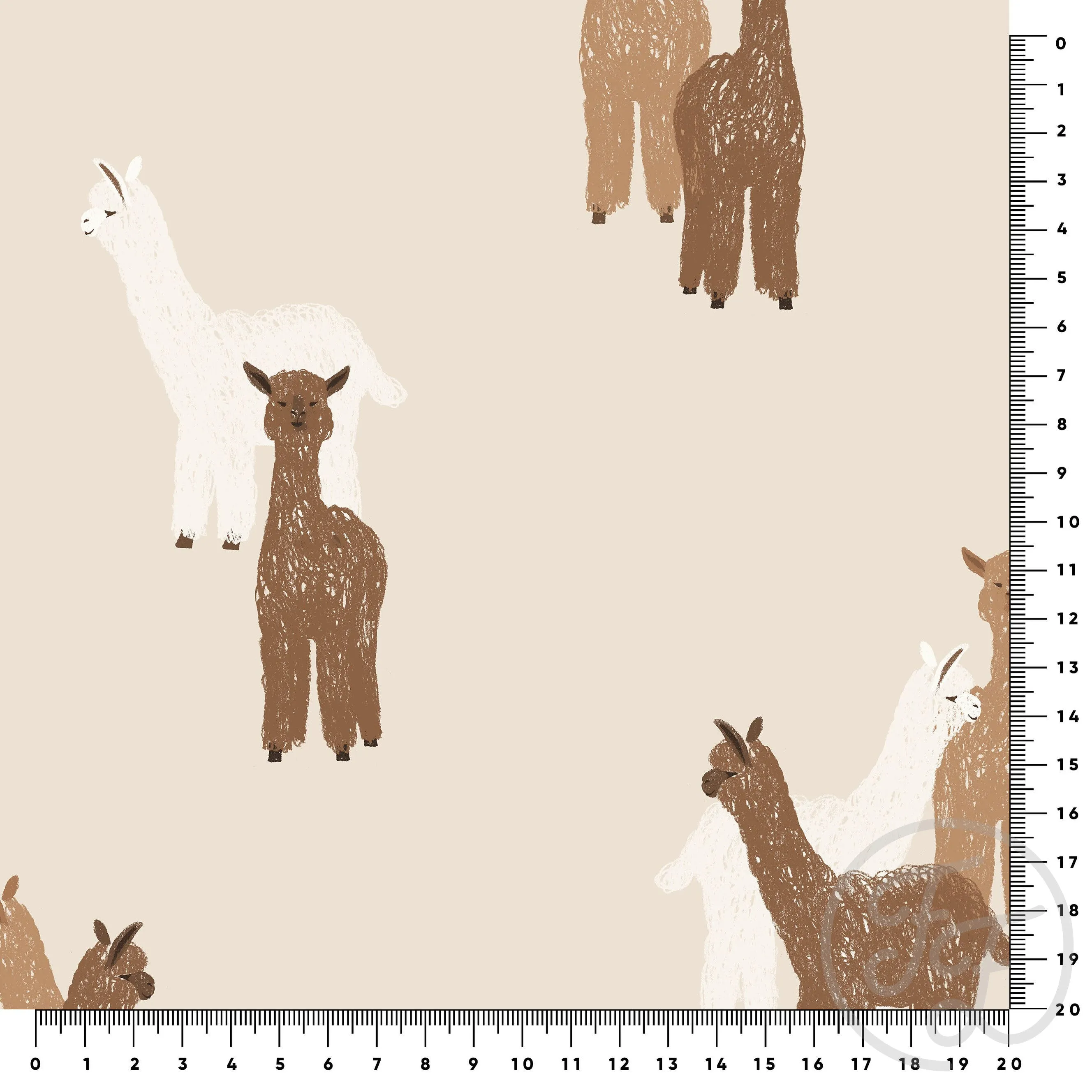 Alpaca Big